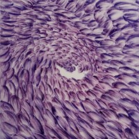 30 pastel violet sur calque et papier 30x24cm 01 